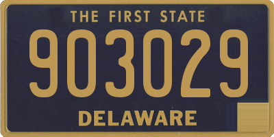 DE license plate 903029