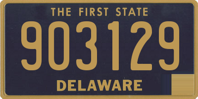 DE license plate 903129