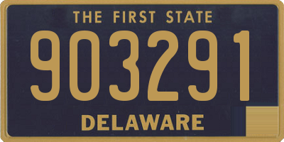 DE license plate 903291