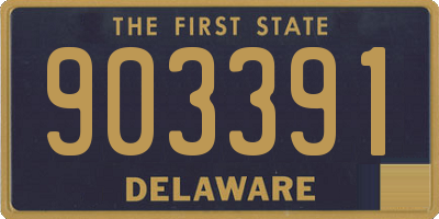 DE license plate 903391