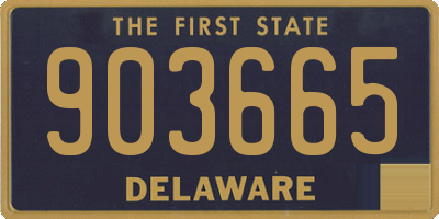 DE license plate 903665