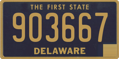 DE license plate 903667