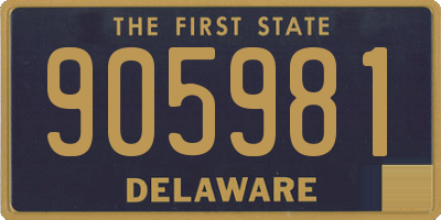 DE license plate 905981