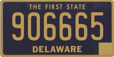 DE license plate 906665