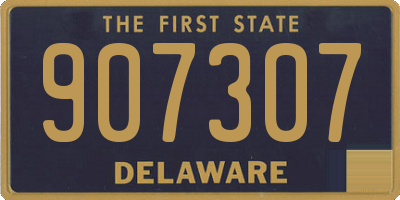 DE license plate 907307