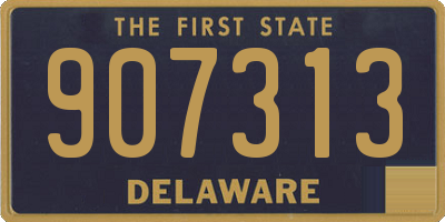 DE license plate 907313