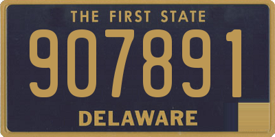DE license plate 907891