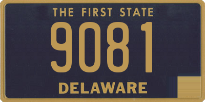 DE license plate 9081