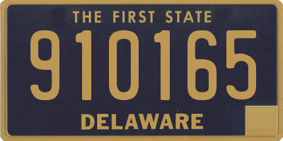 DE license plate 910165