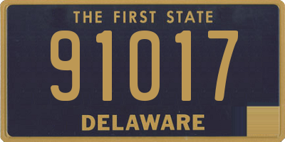 DE license plate 91017