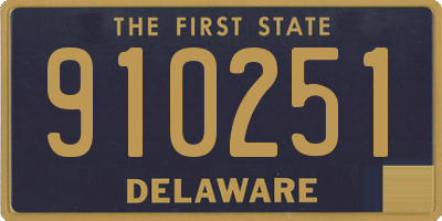 DE license plate 910251