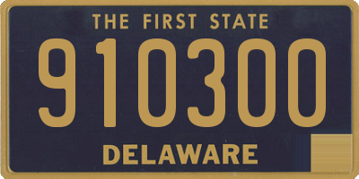 DE license plate 910300
