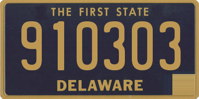 DE license plate 910303