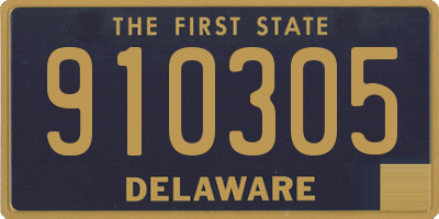 DE license plate 910305