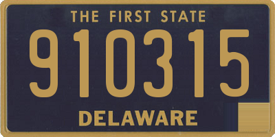 DE license plate 910315