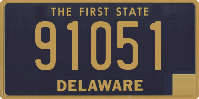 DE license plate 91051