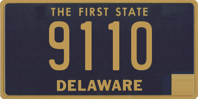 DE license plate 9110