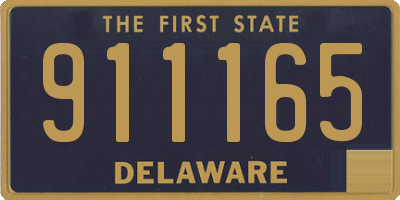 DE license plate 911165