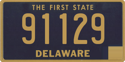 DE license plate 91129