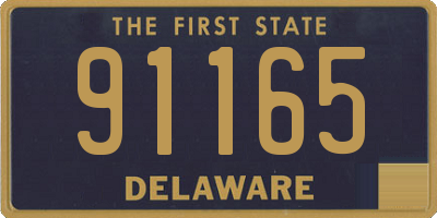 DE license plate 91165