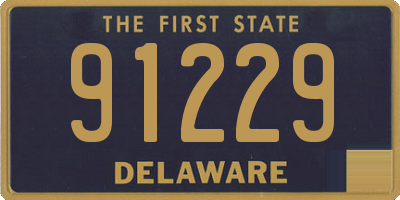 DE license plate 91229