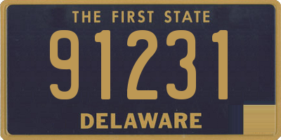 DE license plate 91231