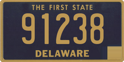 DE license plate 91238