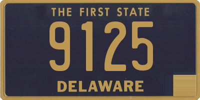 DE license plate 9125