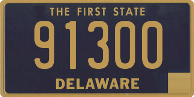 DE license plate 91300
