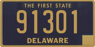 DE license plate 91301