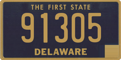 DE license plate 91305