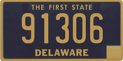 DE license plate 91306