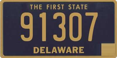 DE license plate 91307