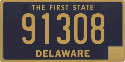 DE license plate 91308