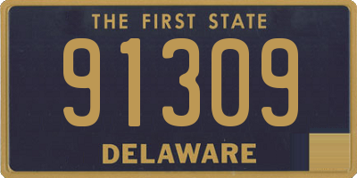 DE license plate 91309