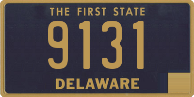 DE license plate 9131