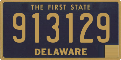 DE license plate 913129