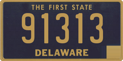 DE license plate 91313
