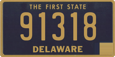 DE license plate 91318