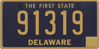 DE license plate 91319