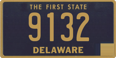 DE license plate 9132