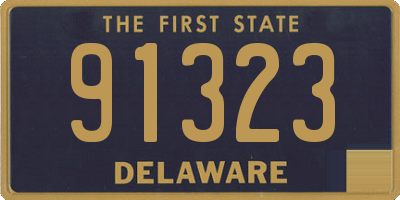 DE license plate 91323