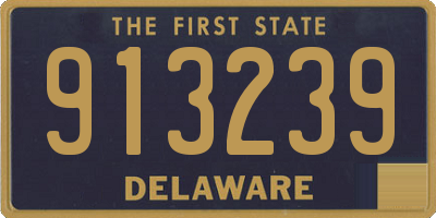 DE license plate 913239