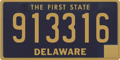 DE license plate 913316