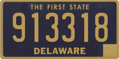 DE license plate 913318