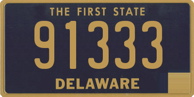 DE license plate 91333