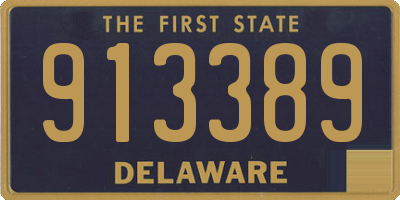 DE license plate 913389