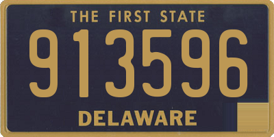 DE license plate 913596