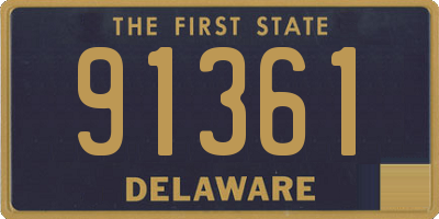 DE license plate 91361