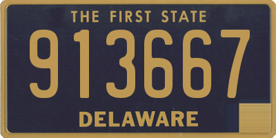 DE license plate 913667